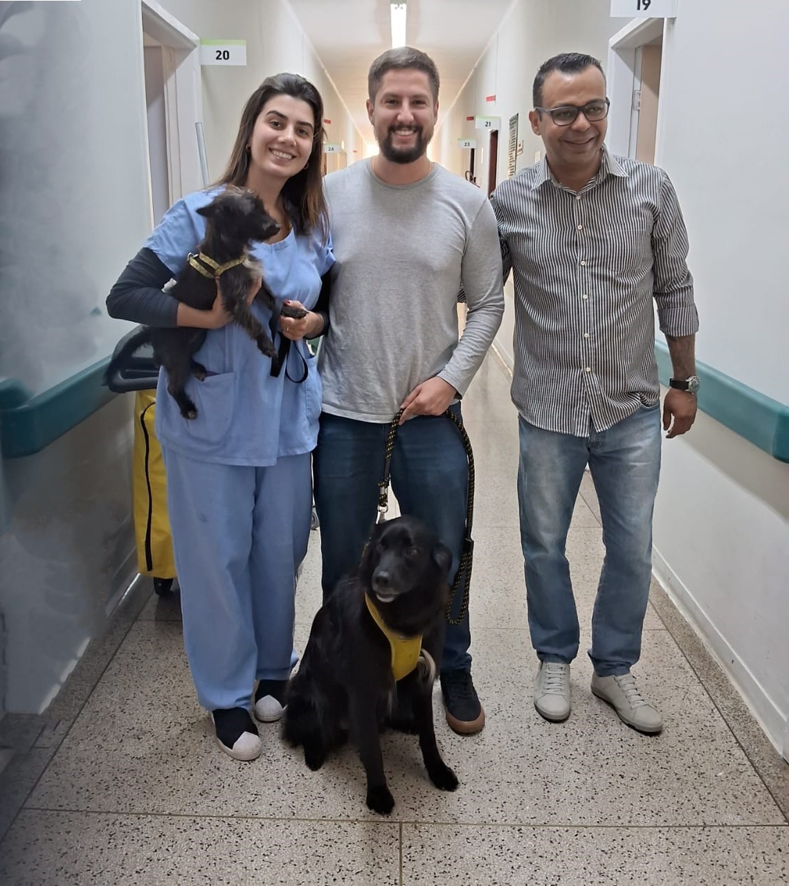  CÃES FRANCISCO E TEREZA FIZERAM A ALEGRIA DOS PACIENTES NA PET TERAPIA