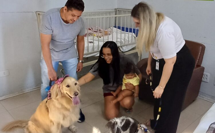  SANTA CASA: ‘PET TERAPIA’ TRAZ ALEGRIA A PACIENTES, ACOMPANHANTES E COLABORADORES