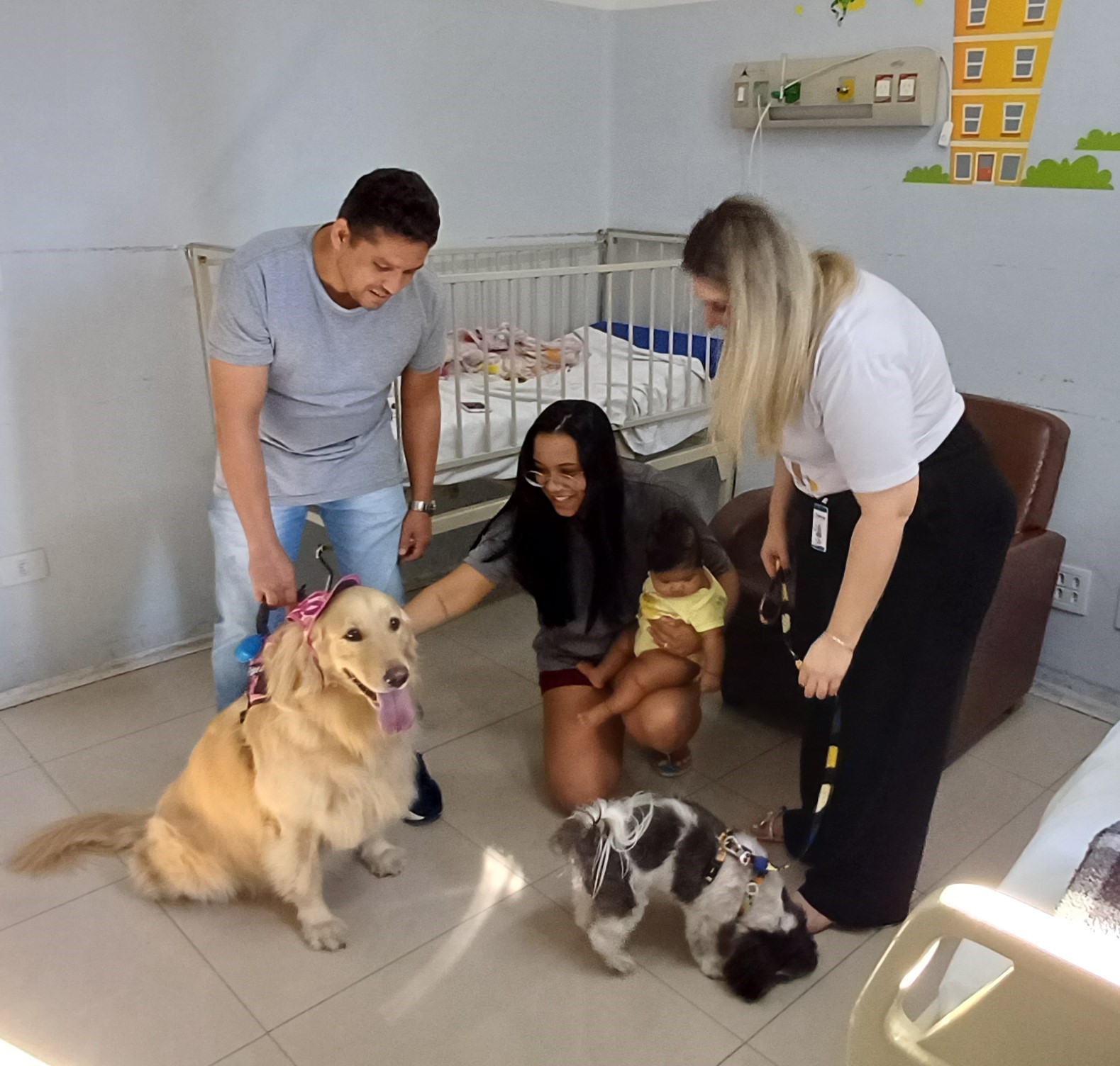  SANTA CASA: ‘PET TERAPIA’ TRAZ ALEGRIA A PACIENTES, ACOMPANHANTES E COLABORADORES