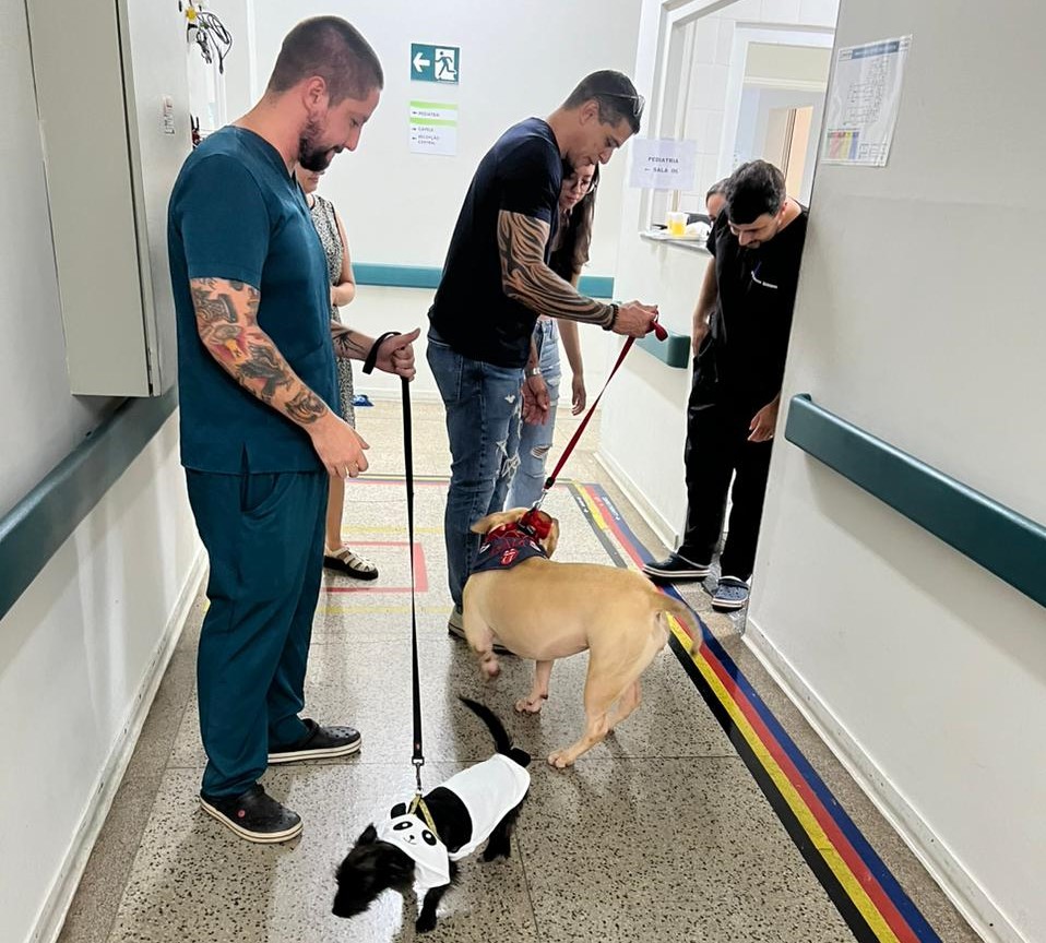  PET TERAPIA VAI ANIMAR PACIENTES E COLABORADORES DA SANTA CASA NESTE DOMINGO