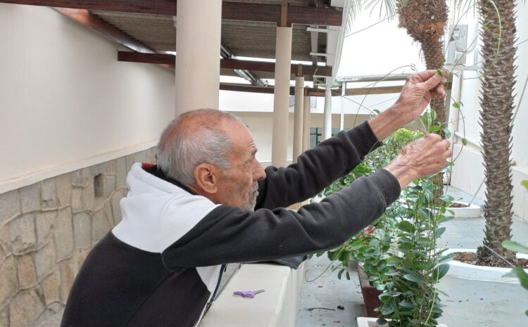  ‘SEU’ DORIVAL É QUEM CUIDA DAS PLANTAS E FAZ MANUTENÇÃO NA SANTA CASA DE VINHEDO